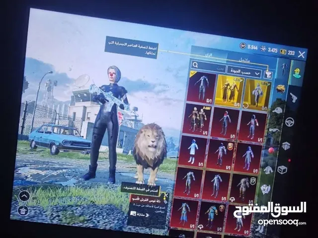 Pubg Accounts and Characters for Sale in Sakakah