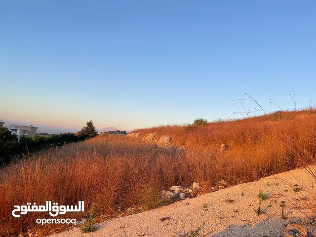 ارض للبيع في جنوب لبنان