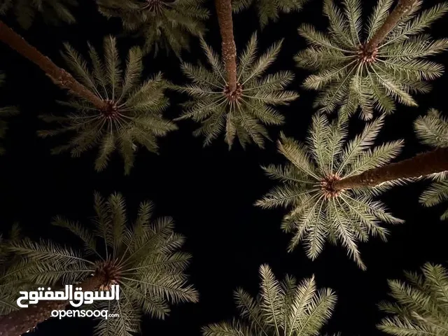 مطلوب كمبيوات 27 حته عطلت