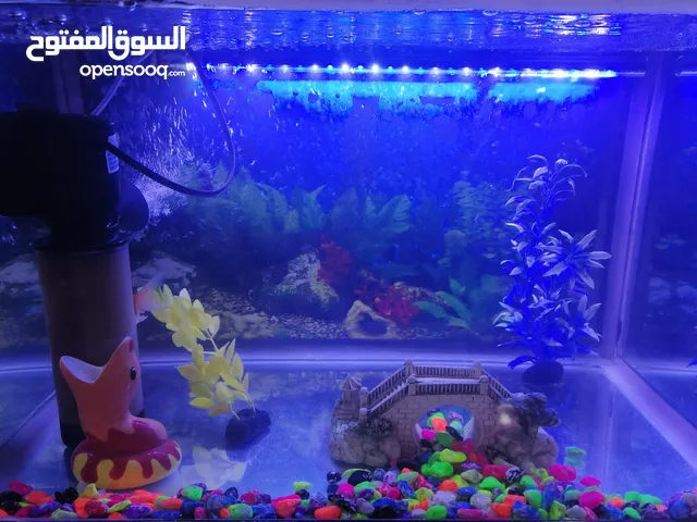 حوض سمك كامل مع اغراضه وميز