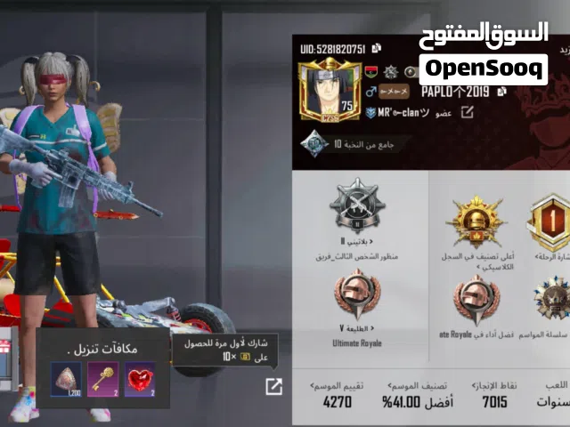 Pubg Accounts and Characters for Sale in Sabha