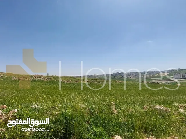 Residential Land for Sale in Amman Hjar Al Nawabilseh