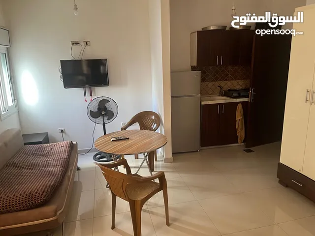 30 m2 Studio Apartments for Rent in Ramallah and Al-Bireh Ein Munjid