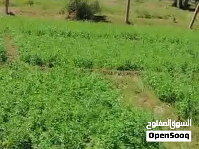 Farm Land for Sale in Khartoum Other