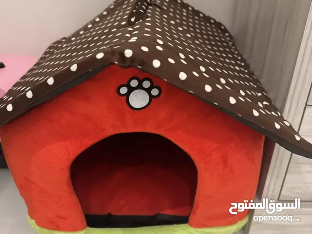 اغراض القطط