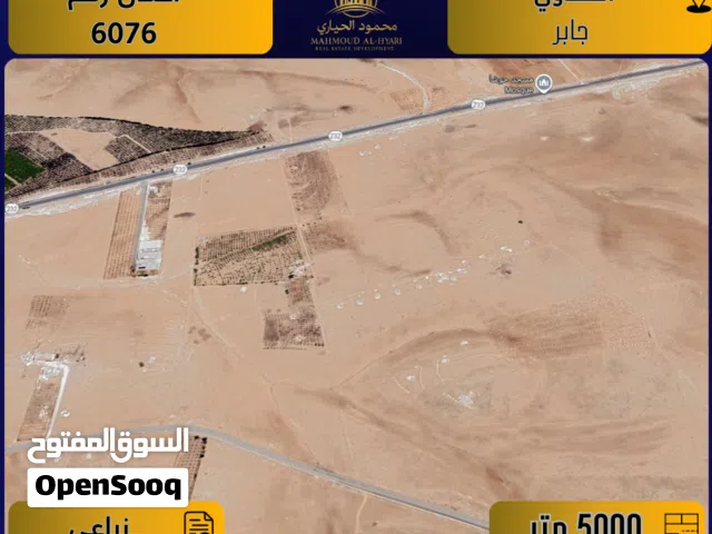 Farm Land for Sale in Mafraq Safawi