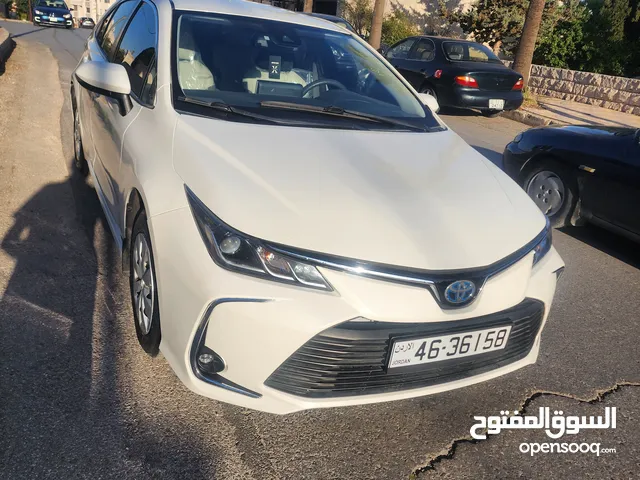 Used Toyota Corolla in Amman