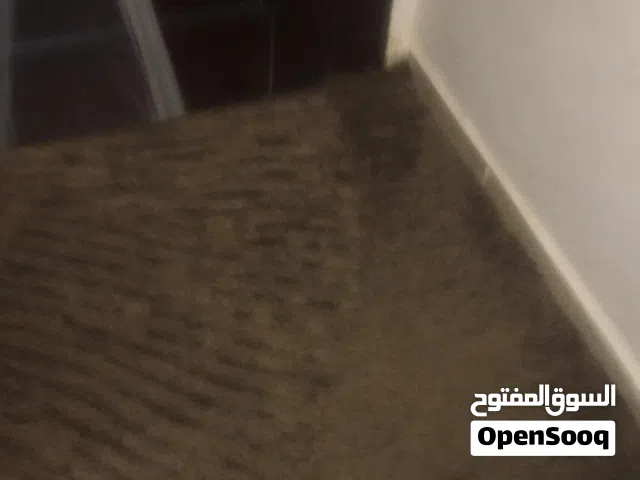 موكيت شاجي أمريكي ( ريشة طويل)