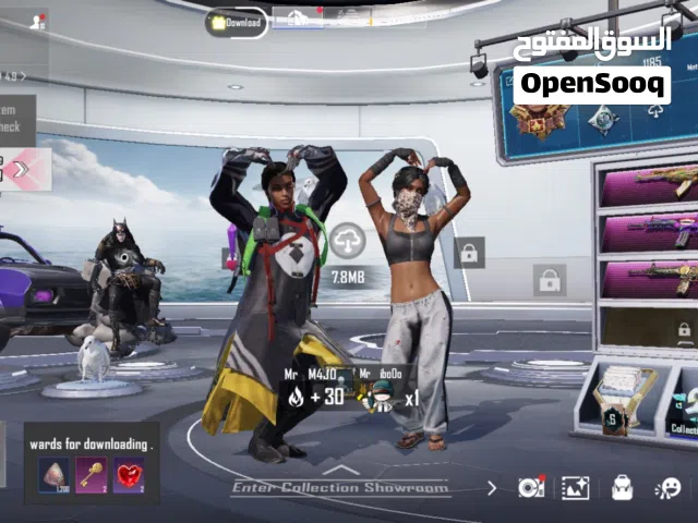 Pubg Accounts and Characters for Sale in Dohuk
