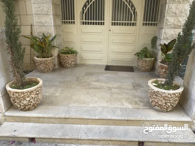 شقه للإيجار السنوي