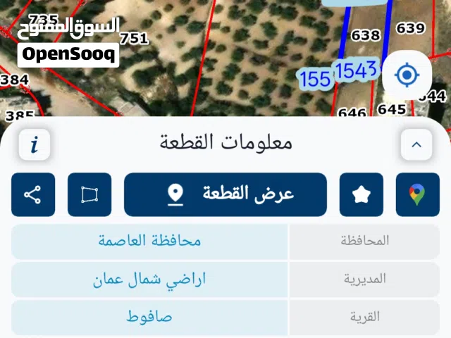 Residential Land for Sale in Amman Safut