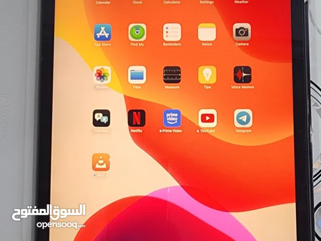 Apple iPad 7th Generation 10.2-inch Tablet, 128GB, Excellent Used Condition