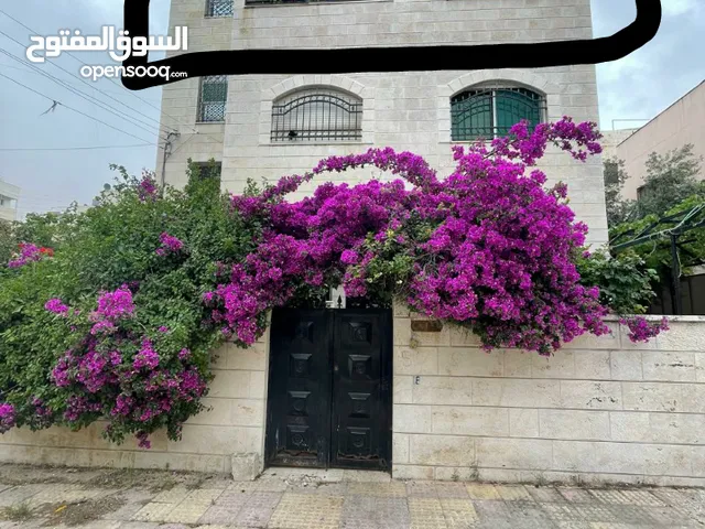 150 m2 3 Bedrooms Townhouse for Sale in Amman Al-Thra