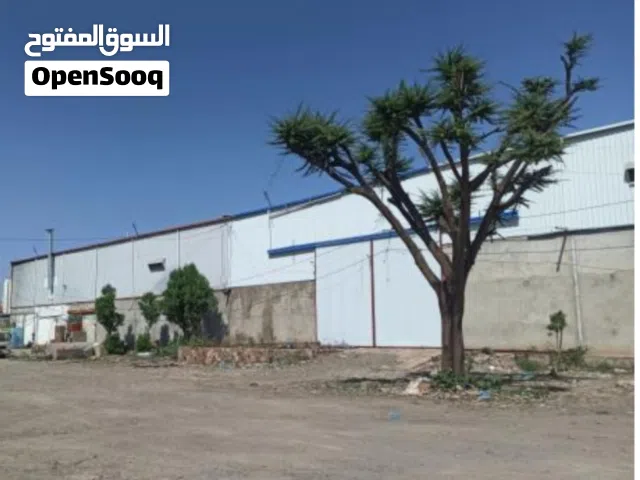 اثنين هناجر للايجار في مفرق ماويه وسط السوق