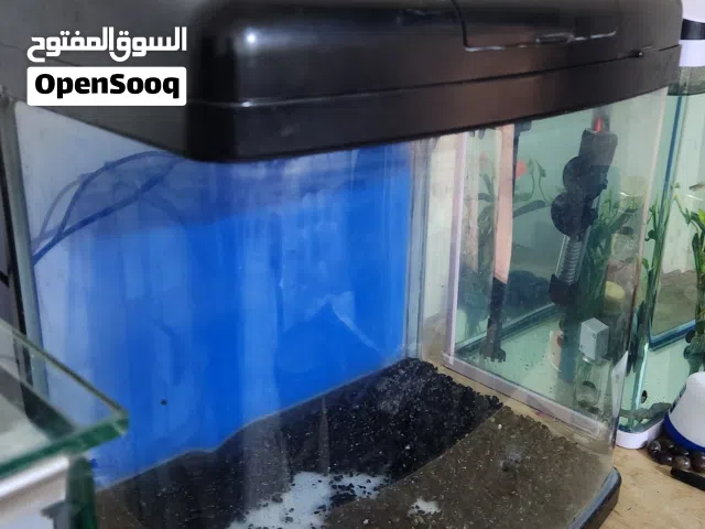 حوض سمك خارجي بسعر عرطة