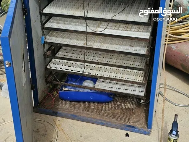 فقاسه بيض نظاف
