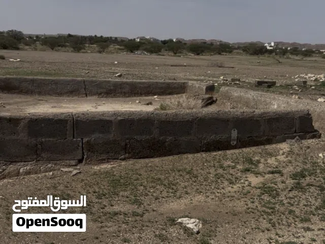 مزرعه في الجبيه قريب الشارع المزدوج مقابل النادي