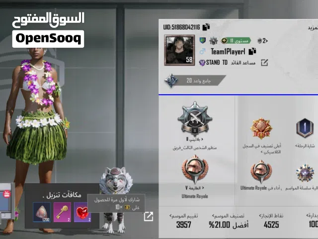 Pubg Accounts and Characters for Sale in Al Batinah