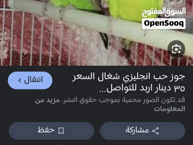 مطلوب افراخ طيور حب نصاص