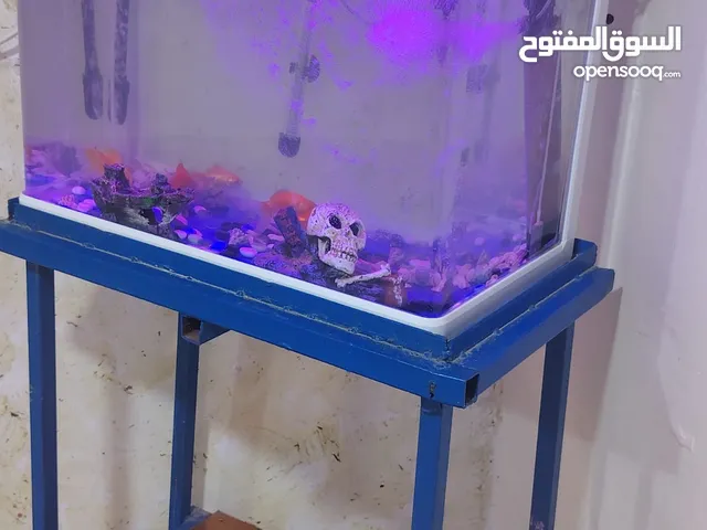 حوض سمك كبير