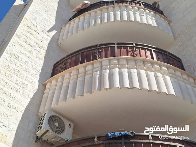 130 m2 5 Bedrooms Apartments for Rent in Zarqa Al Zawahra