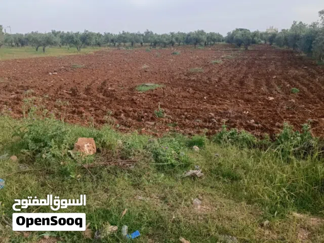 ارض للبيع اربد المغير