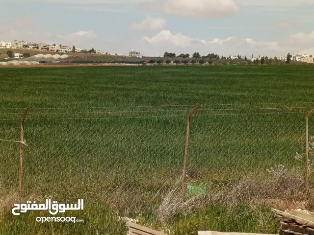 قطعة أرض زراعية مميزة في موقع استراتيجي  الموقع جنوب عمان - الجيزة -قضاء أم الرصاص   المساحة 11 دونم
