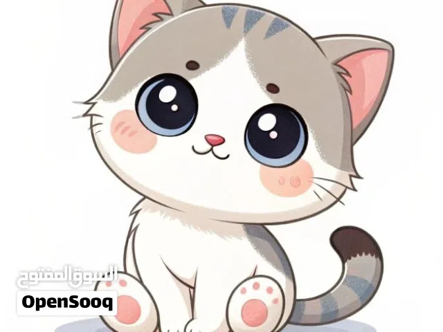 مطلوب قطه للتبني