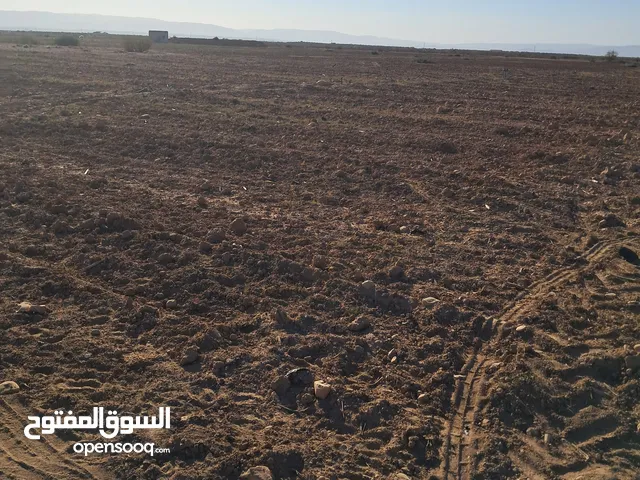 ارض فلاحية مجهزة لانتاج البابايا و فاكهة التنين