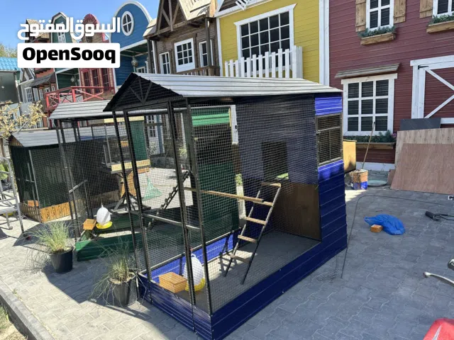 بيوت للدجاج