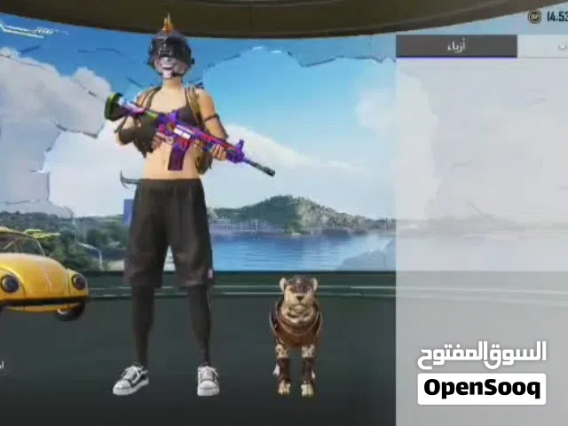 Pubg Accounts and Characters for Sale in Tubas