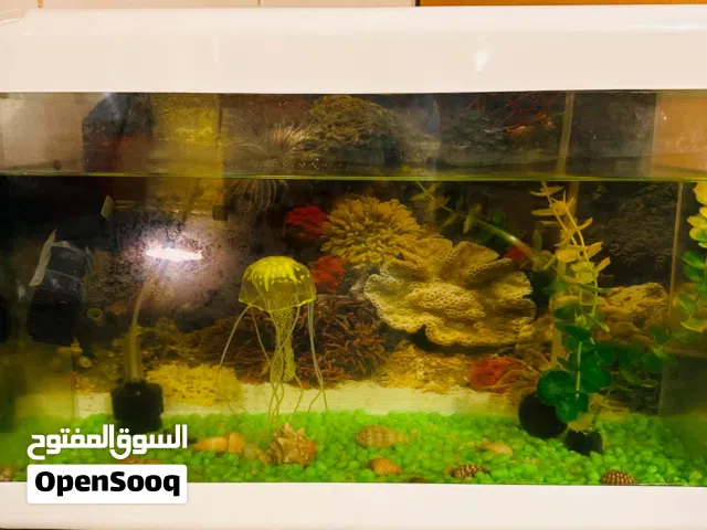 حوض اسماك شبه جديد كامل بجميع ملحقاته مقاس 50*20 للبيع  سعره 200 دنيار مكانه طرابلس