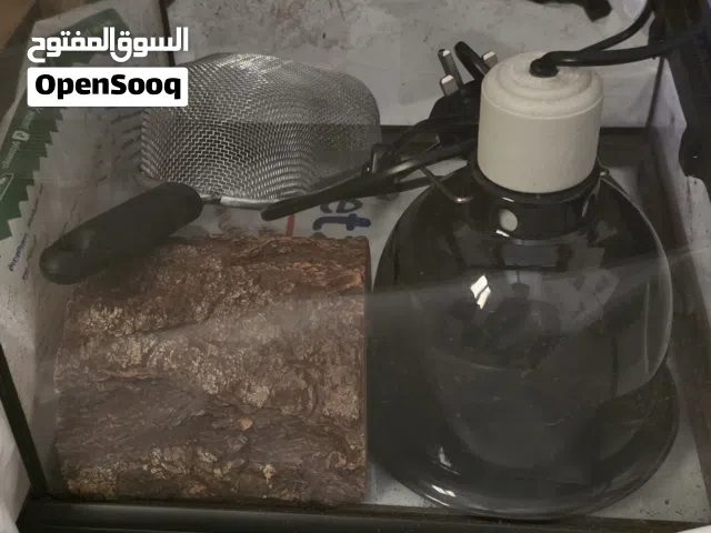 Reptile Supplies أساسيات الزواحف