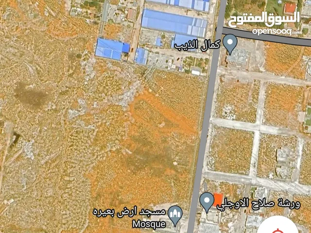 ربع هكتار الا شويا للبيع في أرض بعيرا قريبة من المطار