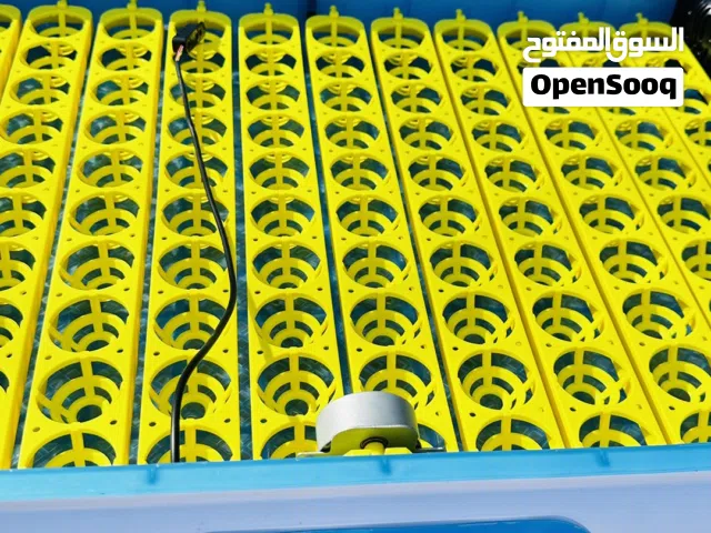فقاصات دجاج بحجم 120 بيضه حاجه كويسه