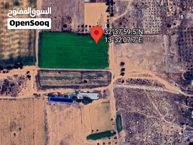 Farm Land for Sale in Tripoli Other