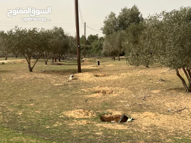 3000 m2 1 Bedroom Townhouse for Sale in Tripoli Other