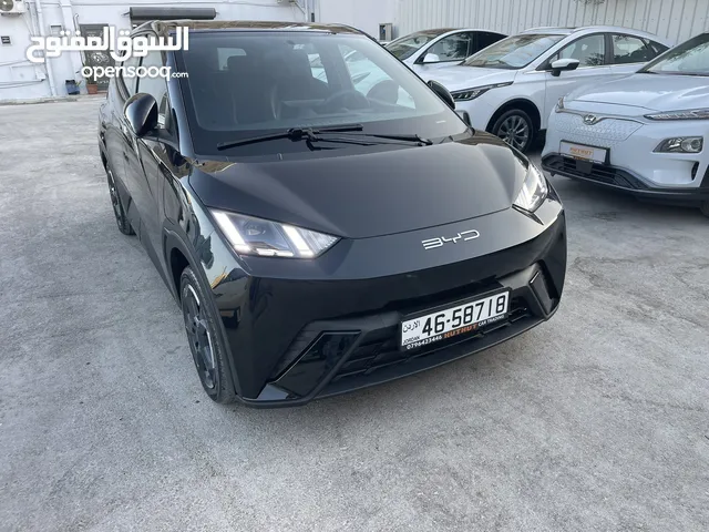 Used BYD Seagull in Irbid