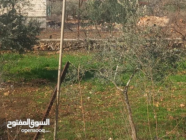 Residential Land for Sale in Ramallah and Al-Bireh Ein Qiniya