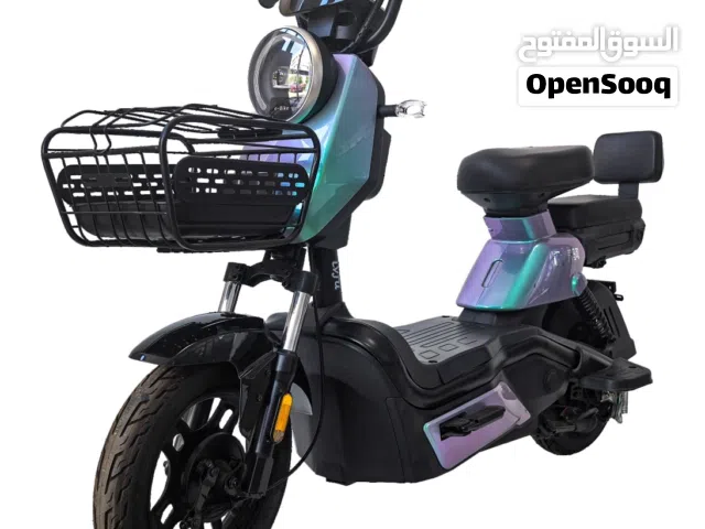 Wind Horse M6 Electric Bike