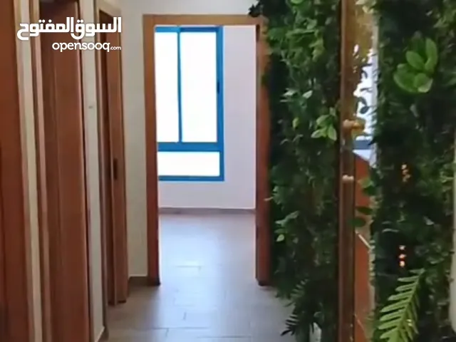 ابو مدحت جرادات