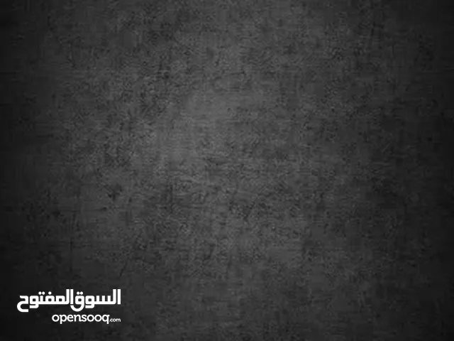 مهدي نور الدين ابو عصب