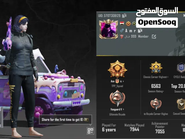 Pubg Accounts and Characters for Sale in Ras Al Khaimah