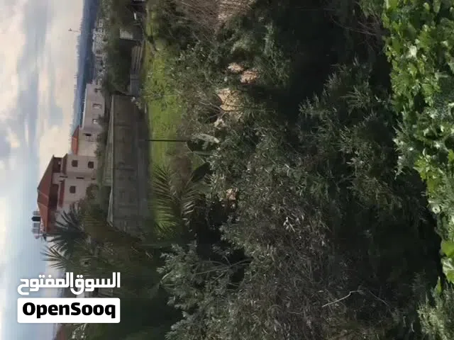 ارض دونم للبيع