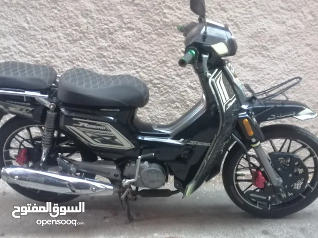 Becan 33 2024