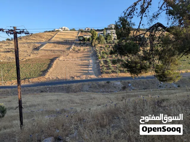Residential Land for Sale in Salt Shafa Al-Amriya