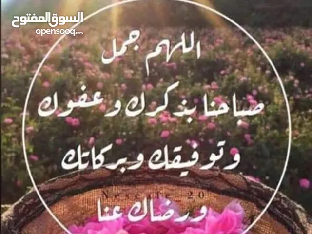 عمار