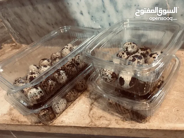 بيض سمان بنغازي