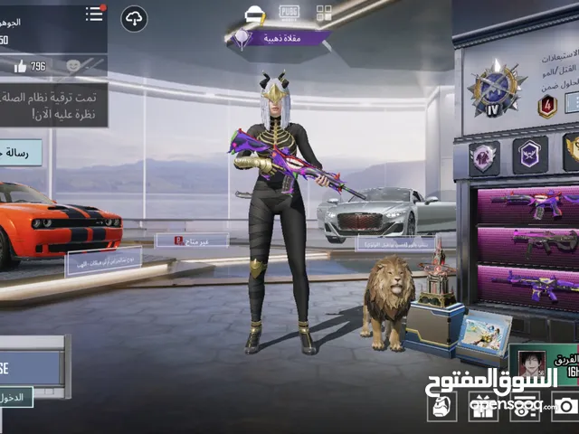 Pubg Accounts and Characters for Sale in Basra