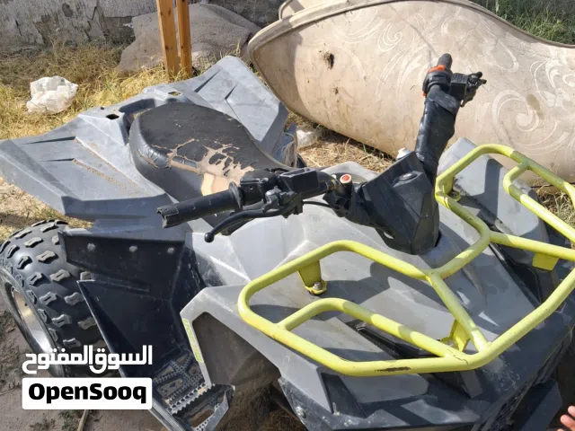 2020 بولاريس اخرى
